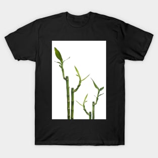 Bamboo T-Shirt